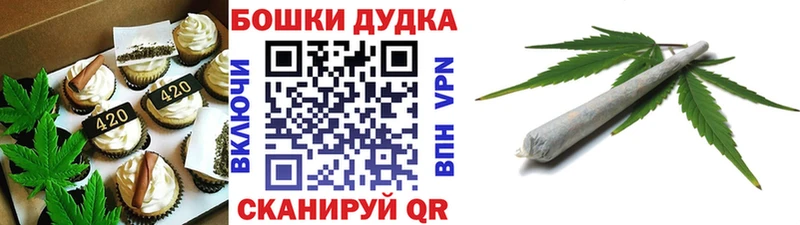 Canna-Cookies конопля  дарнет шоп  Новодвинск 