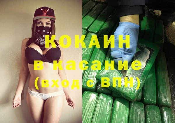 гидропоника Медногорск