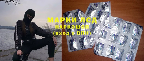 прущие грибы Мегион