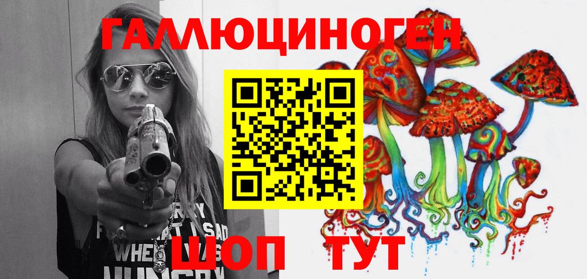 Галлюциногенные грибы MAGIC MUSHROOMS  Новодвинск  Галлюциногенные грибы GOLDEN TEACHER 