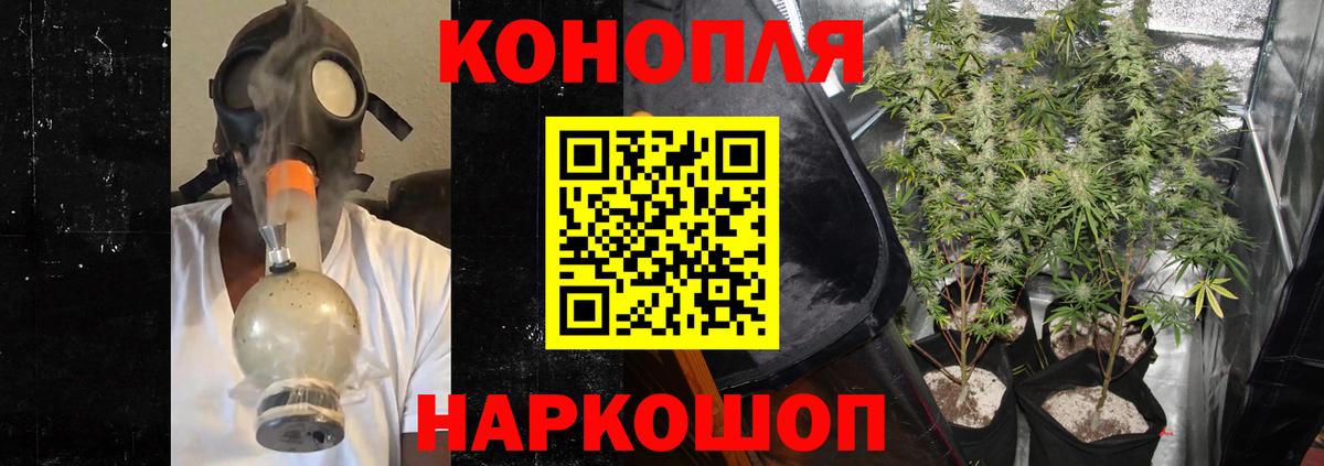 Бошки марихуана White Widow  Конопля сатива  Новодвинск  Шишки марихуана OG Kush 