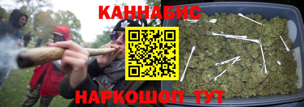 МАРИХУАНА конопля Новодвинск